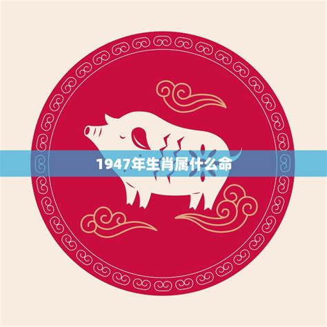 1947年生肖猪|1947年属什么生肖 1947年出生的今年多大